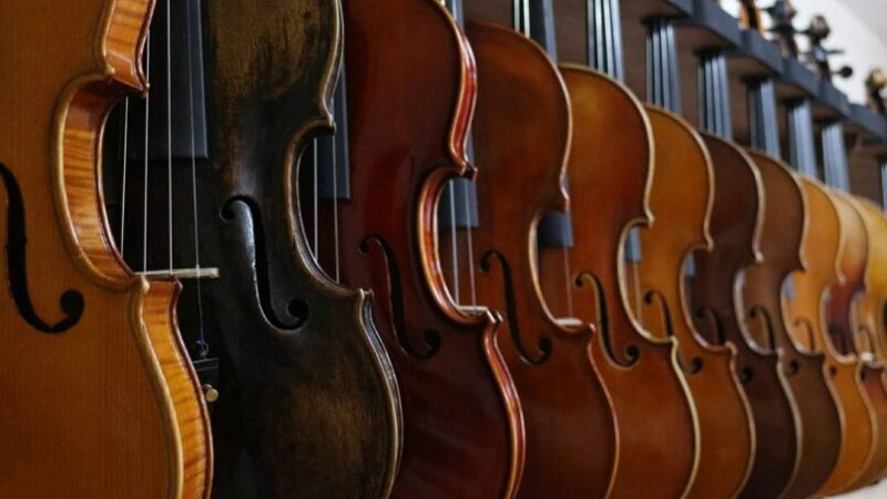 【楽器奏者に聞く】初心者のための楽器上達方法【バイオリン編】（後編）